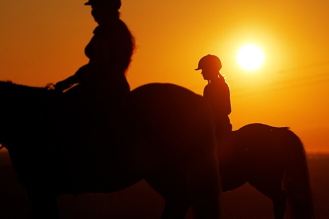 Horseback Riding in the Landscape - Practical Tips for Your Day at Metsapiiga Talu