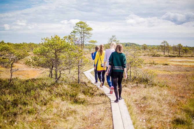 Lahemaa National Park Day Trip - Price and value: why $145.18 often feels fair for this mix
