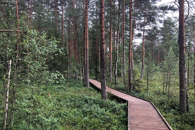 Lahemaa national park in Estonia - Getting from Tallinn, and how the day stays manageable