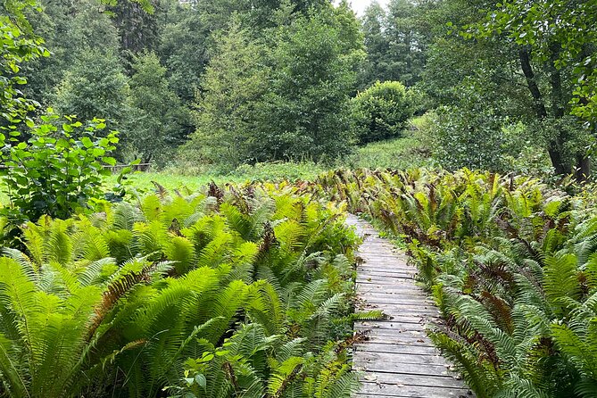 Lahemaa national park in Estonia - The Soviet limestone canyon start, before Lahemaa even begins