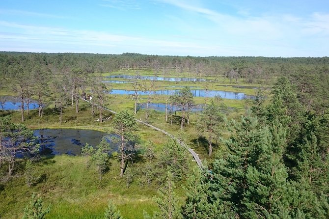 Lahemaa national park in Estonia - Kasmu coast and the optional sea museum add-on