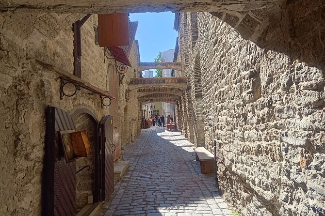 Old Tallinn Highlights & its Medieval Past - Kiek in de Kök and the city walls: defense you can actually picture