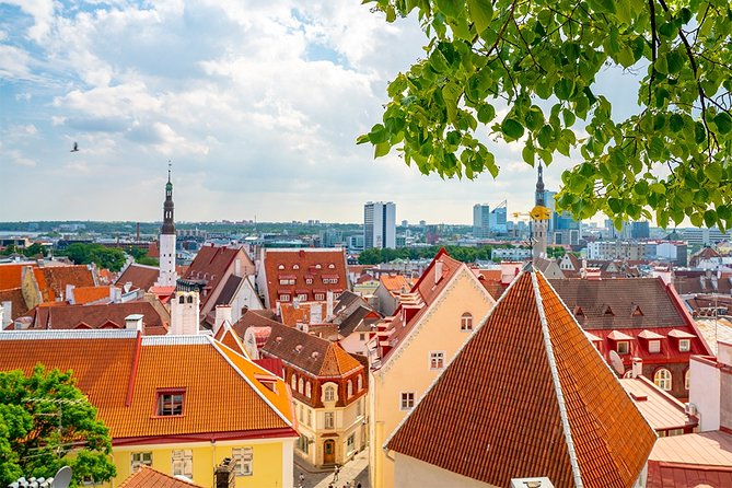 Old Tallinn with Kadriorg & Pirita - Price and value: what you pay for in this format