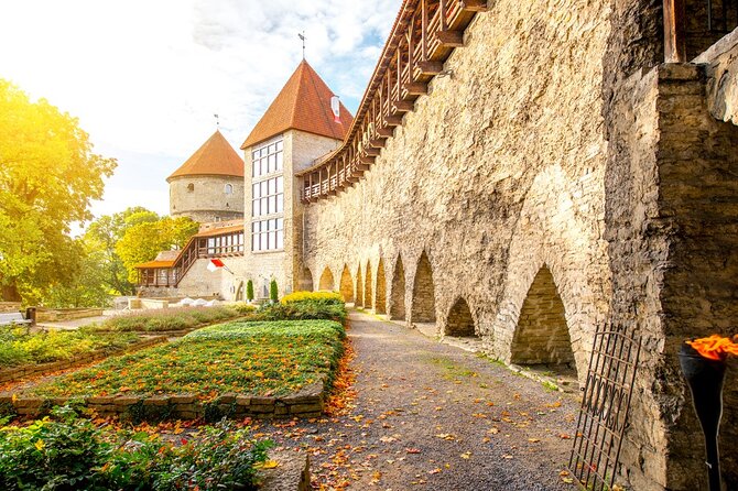 Old Town Walking Tour and Two Cathedrals - Town Hall Square and Lower Town: Old Pharmacy, St. Nicholas, and the Hanseatic Thread