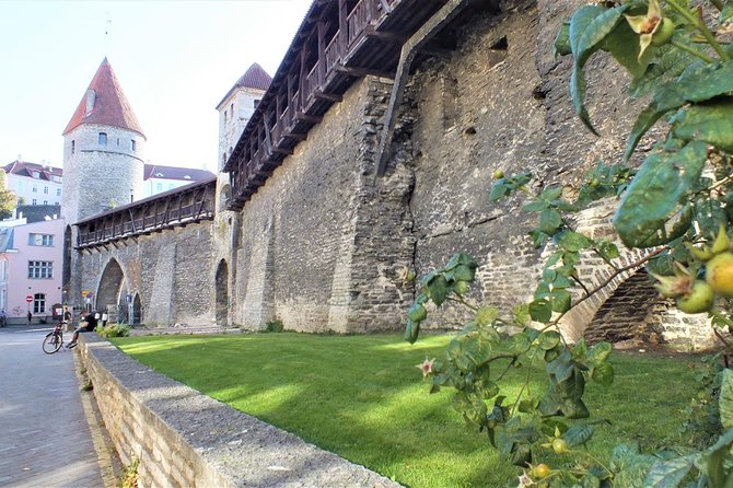 Private 2.5-Hour Tour of Tallinn Old Town in a Spacious Mercedes Minivan - A Mercedes Viano you can actually enjoy in medieval Tallinn