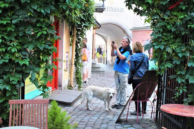 Private 2.5-Hour Tour of Tallinn Old Town in a Spacious Mercedes Minivan - Toompea Hill: the viewpoint that makes the rest of the town click