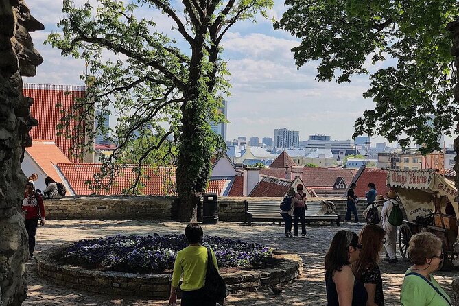 Private Self-Guided Audio Walking Tour in Tallinn Old Town - How the Navicup app affects your day (and how to avoid frustration)