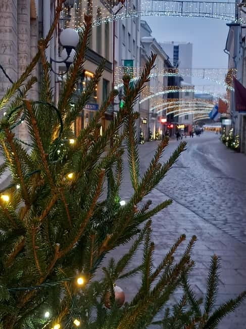 Sightseeing tour "Around Tallinn in 3 hours" - How the car loop sets up your Old Town walk
