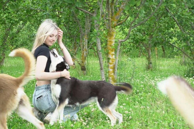 SLED DOG KENNEL VISIT TARTU COUNTRY ESTONIA - Photo session: bringing home more than blurry memories