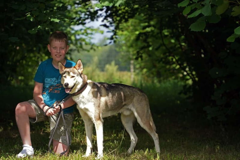 SLED DOG KENNEL VISIT TARTU COUNTRY ESTONIA - Languages, small groups, and feeling comfortable with kids