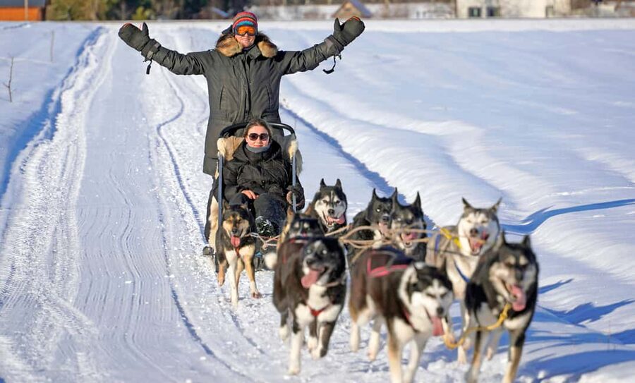SLED DOG TOUR AND KENNEL VISIT & WITH OVERNIGHT STAY - Key Things That Make This Sled Dog Kennel Stay Worth It