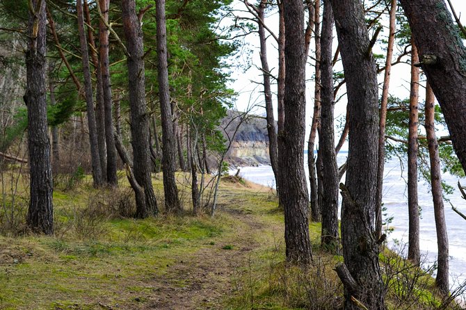 Small-Group Half-Day Tour of Rummu and Coastal Cliffs - Lunch on the way: not included, but built into the flow