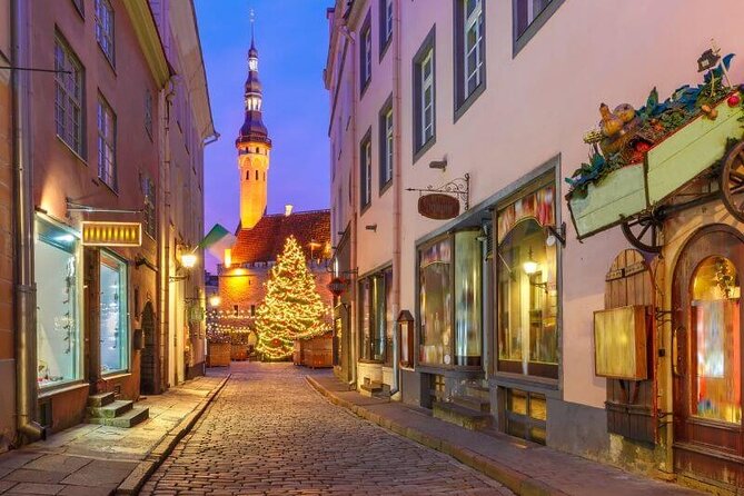 Tallinn 3h Walking Small Group Tour Max 10 People - Learning medieval defenses at the artillery tower and historic gateway