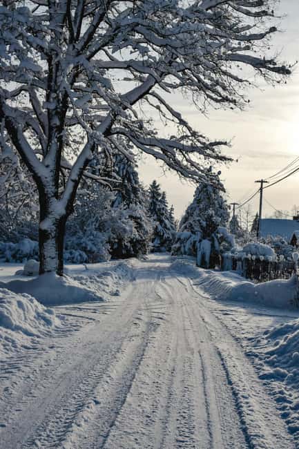 Tallinn: Cross-Country Skiing Lesson with Pickup - A morning that starts with convenience, not cold surprises