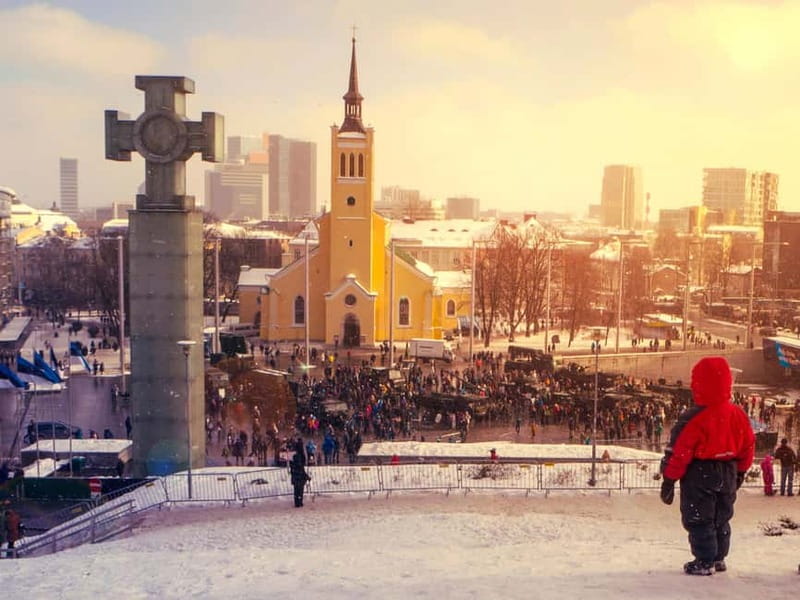 Tallinn: Guided Old Town Historical Walking Tour - Toompea Castle and Alexander Nevsky Cathedral: upper Tallinn’s big statements