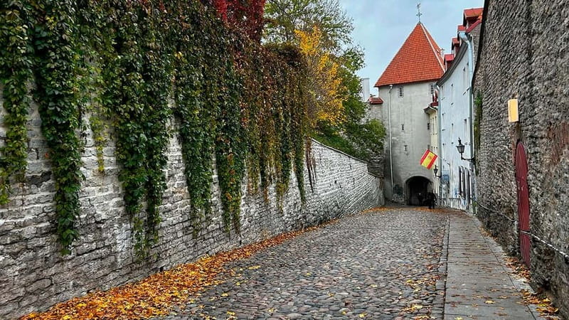 Tallinn: Guided Old Town Historical Walking Tour - The Estonian History Museum and Old Town Hall Pharmacy as your final anchors