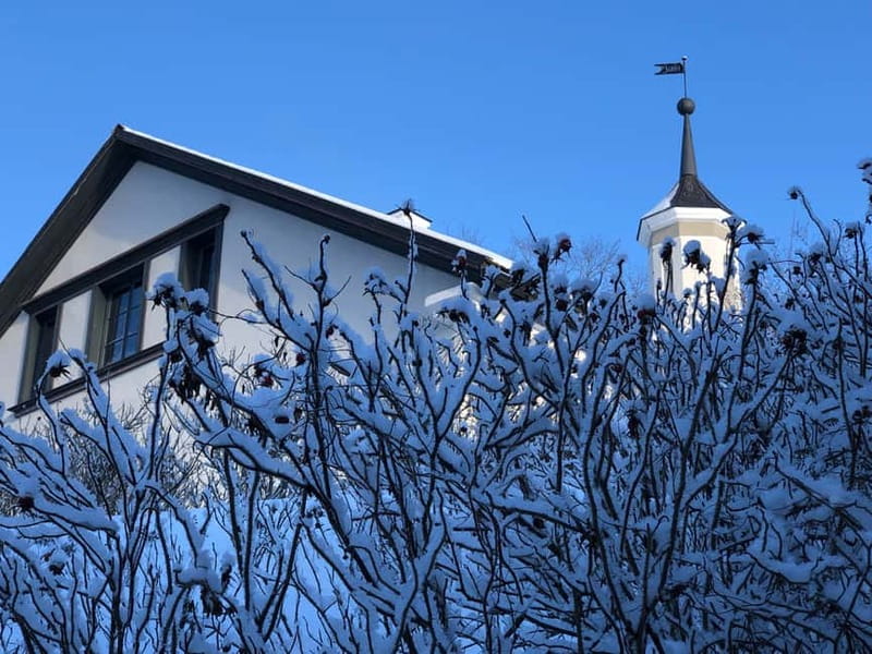 Tallinn: Half-Day Private Estonian Waterfalls - Who should book this Tallinn waterfalls tour
