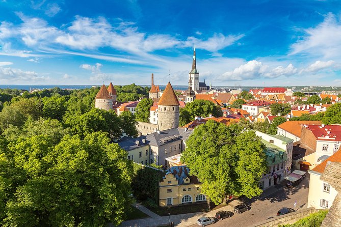 Tallinn Highlights and Marzipan Painting Masterclass - Getting your bearings: Old Town UNESCO walk with churches and pharmacy