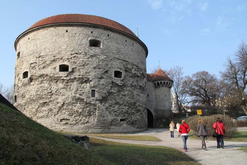 Tallinn: Highlights Shore Excursion with Return Transfer - Price and pacing, what $69 gets you (and how to judge the value)