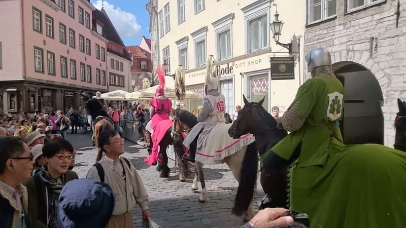 Tallinn: Medieval Walking Tour - Key things you will notice on this Tallinn tour
