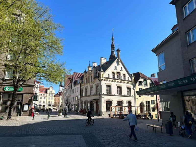 Tallinn: Medieval Walking Tour - Kohtuotsa viewpoint and Patkuli Stairs: the photo moment you will actually remember