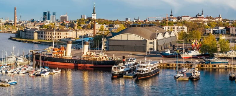Tallinn: Museums, Public Transport, and More City Card - Getting around on public transport without counting stops