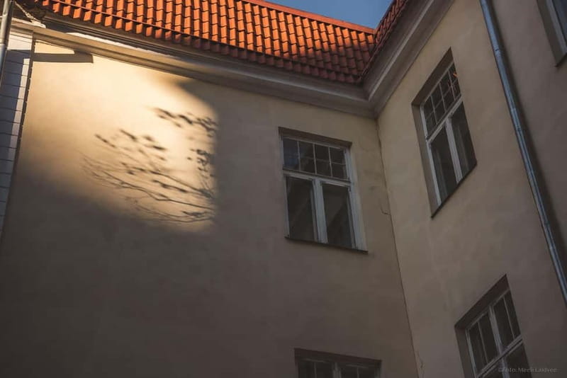Tallinn: Old Town Ghost Tour - Key highlights you’ll actually feel on this walk