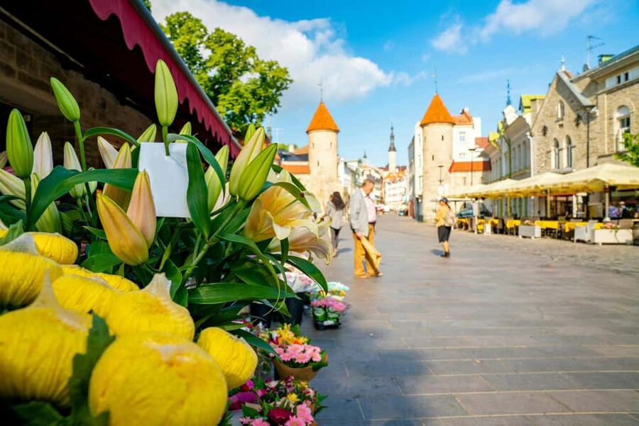 Tallinn Old Town: Stories and Views 2‑Hour Walking Tour - Danish King’s Garden: A Breath of Green With Historical Flavor