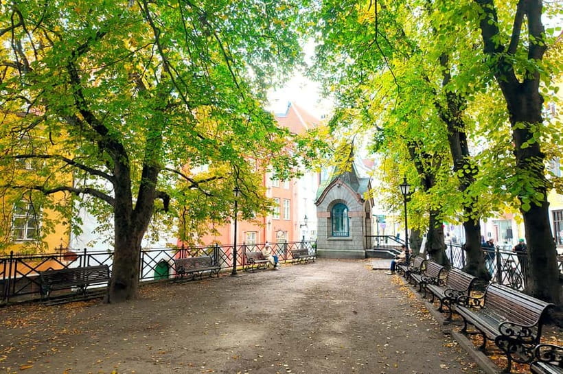 Tallinn Old Town: Stories and Views 2‑Hour Walking Tour - Toompea Castle and Parliament: Power Places, Made Human