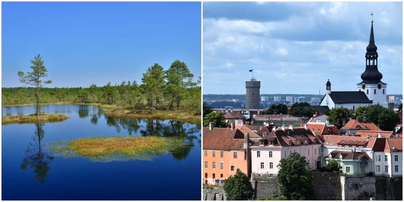 Tallinn: Old Town Tour with Bog Walk - Key things to know before you go