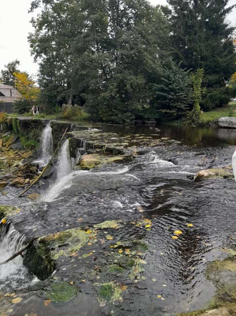Tallinn: Pakri landscape conservation park and coast 5h - The guide and the private-group feel, the quality makes a difference