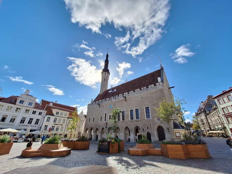Tallinn: Private Guided Walking Tour of the Medieval City - Domberg and the Upper Town skyline: government, embassies, and cathedrals