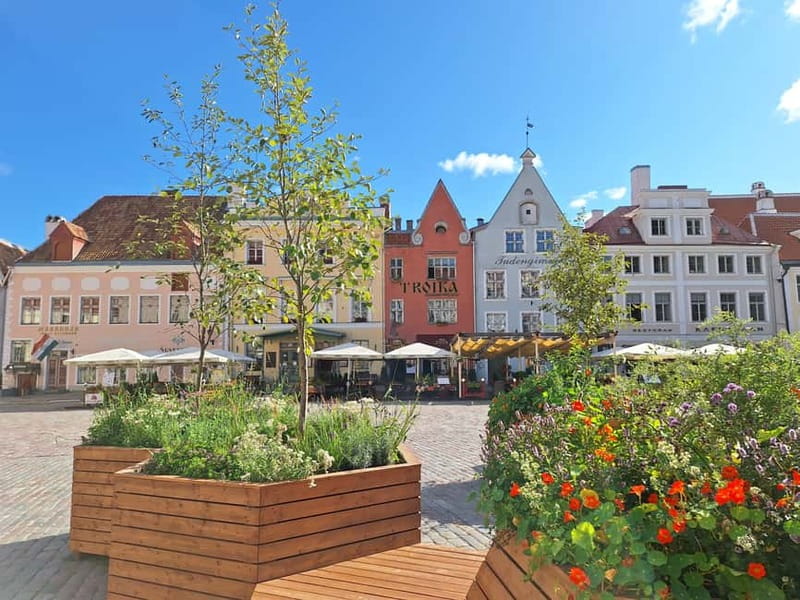 Tallinn: Private Guided Walking Tour of the Medieval City - Pacing on foot: what 3 to 4 hours feels like in practice