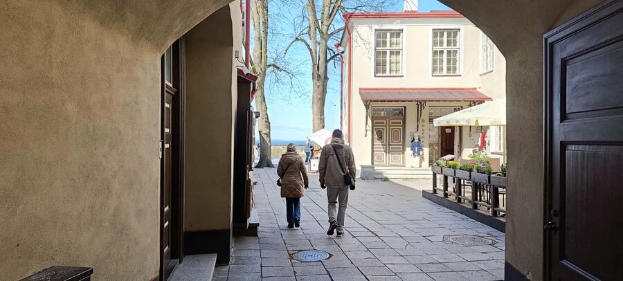 Tallinn: Private Walking Tour with a Local - Should you book this private Tallinn walking tour?