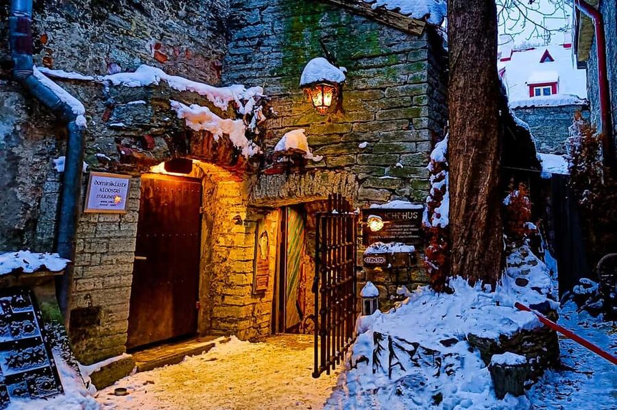 Tallinn Tales: City Highlights Guided Walking Tour - Key highlights to look for