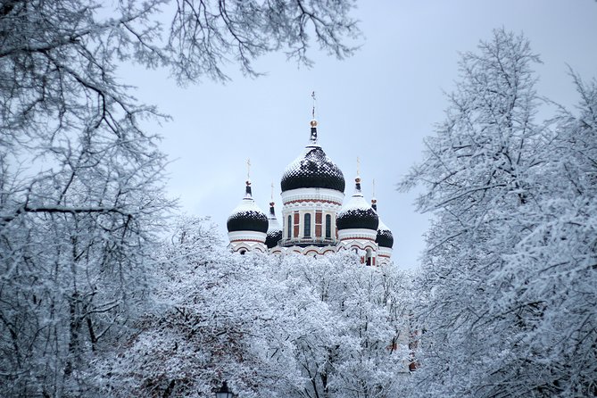 Tallinn Top Attractions and Viimsi Open Air Museum - Why this Tallinn private loop works in 5 hours
