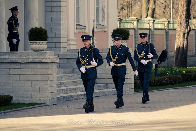 Tallinn Top Attractions and Viimsi Open Air Museum - Pacing, private guide attention, and the kind of day this is