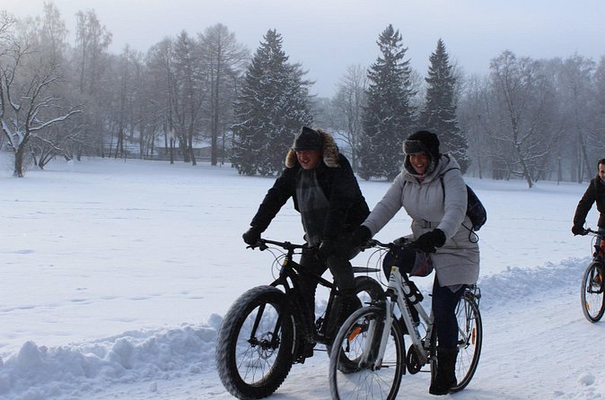Tallinn Winter Bike Tour with Cafe Stop - Stop 4: Tallinn Song Festival Grounds and a Venue Built for Sound